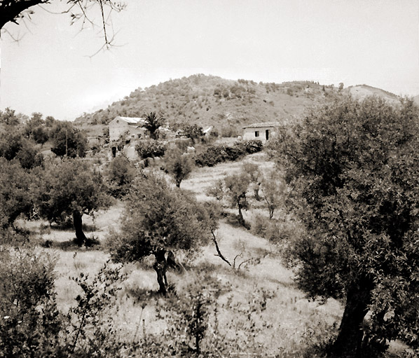 Campagne di Pezzolo - messina