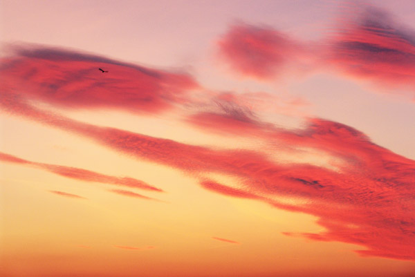 Nel cielo di Pordenone