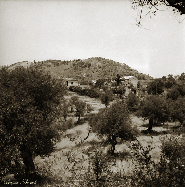 Campagna siciliana - Angelo Biondi