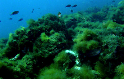 Stretto di Messina - Itala Marina - ab